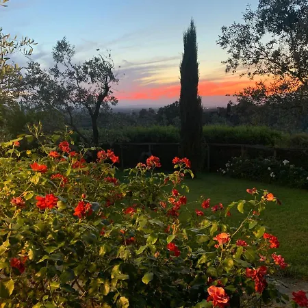 Podere Jana Antico Frantoio Casa rural *