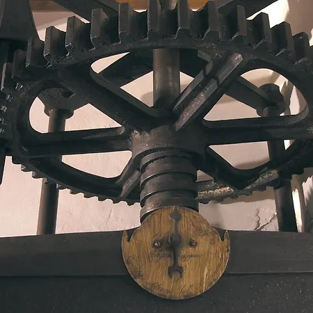 Podere Jana Antico Frantoio Vitolini