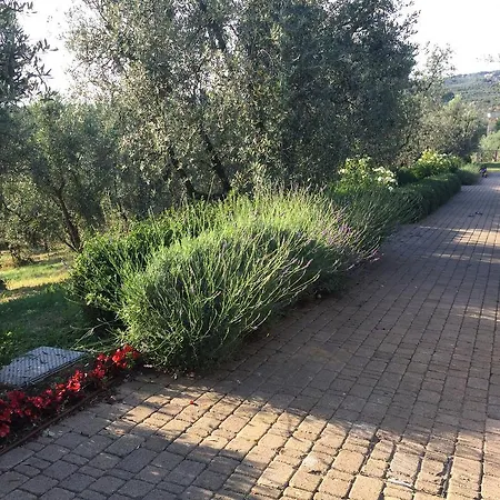 Podere Jana Antico Frantoio