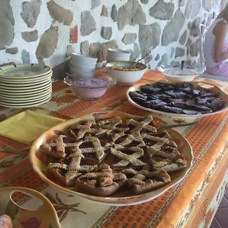 Podere Jana Antico Frantoio Casa rural Vitolini