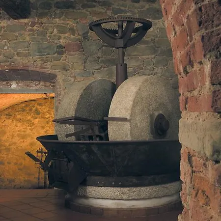 Gospodarstwo wiejskie Podere Jana Antico Frantoio *